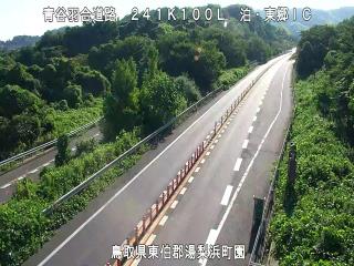 8月17日8時 の様子