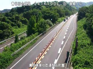 8月17日9時 の様子