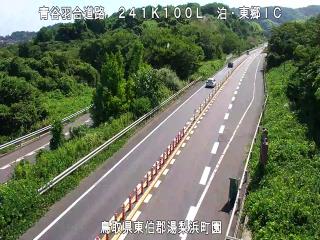 8月17日10時 の様子