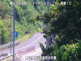 8月17日11時 の様子