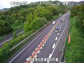 8月17日19時 の様子