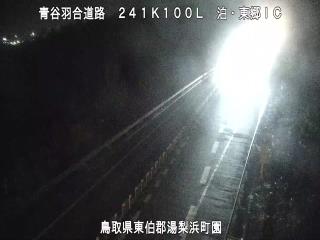 1月16日19時 の様子