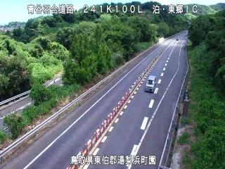 8月7日12時 の様子