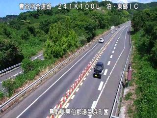 8月7日14時 の様子