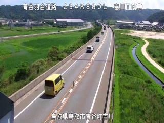8月17日11時 の様子