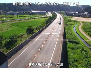 8月7日8時 の様子