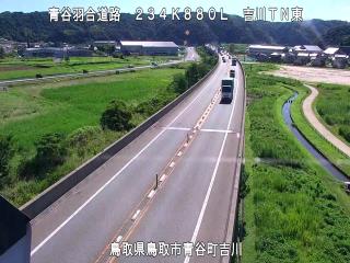 8月7日9時 の様子
