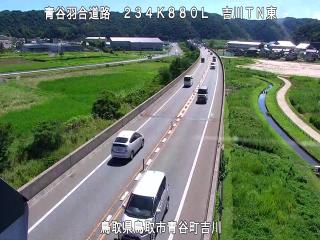 8月7日10時 の様子