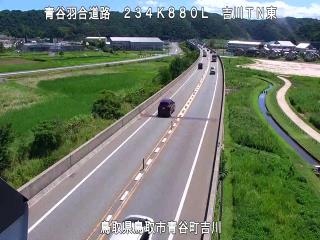 8月7日11時 の様子