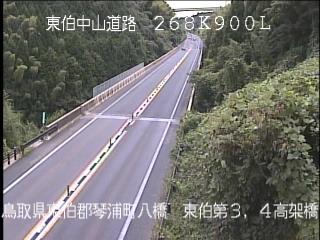 10月2日11時 の様子