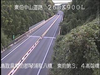 10月2日16時 の様子