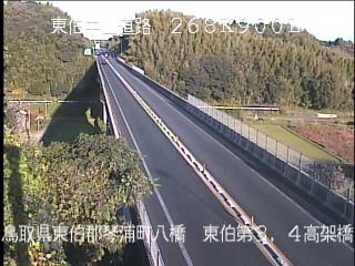 11月17日8時 の様子