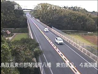 11月17日15時 の様子