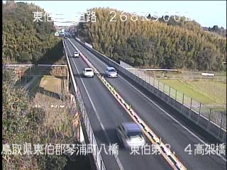 4月3日8時 の様子