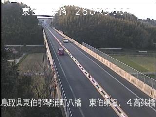 4月3日17時 の様子