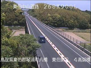 5月19日11時 の様子