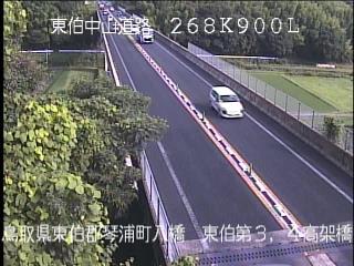 7月3日8時 の様子