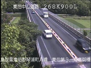 7月3日10時 の様子