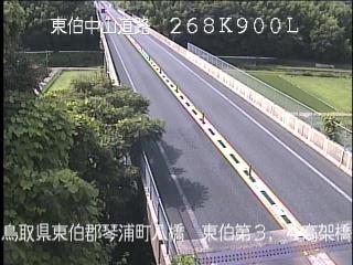 7月3日15時 の様子