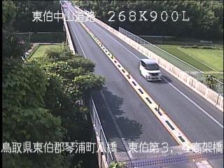 7月3日16時 の様子