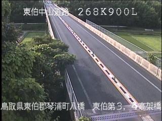 7月3日17時 の様子