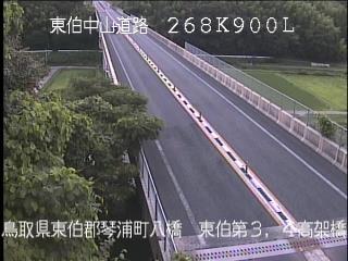 7月3日19時 の様子