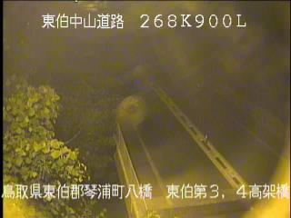 7月3日21時 の様子