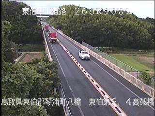 8月17日16時 の様子