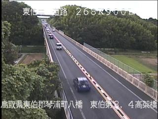 8月17日17時 の様子