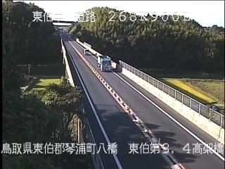 10月2日16時 の様子
