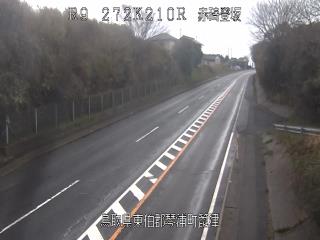 3月19日9時 の様子