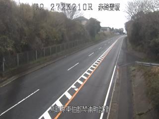 3月19日10時 の様子