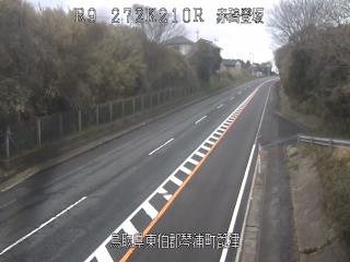 3月19日11時 の様子