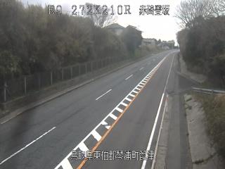 3月19日16時 の様子