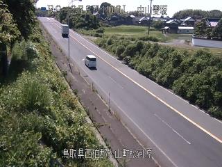 6月13日15時 の様子